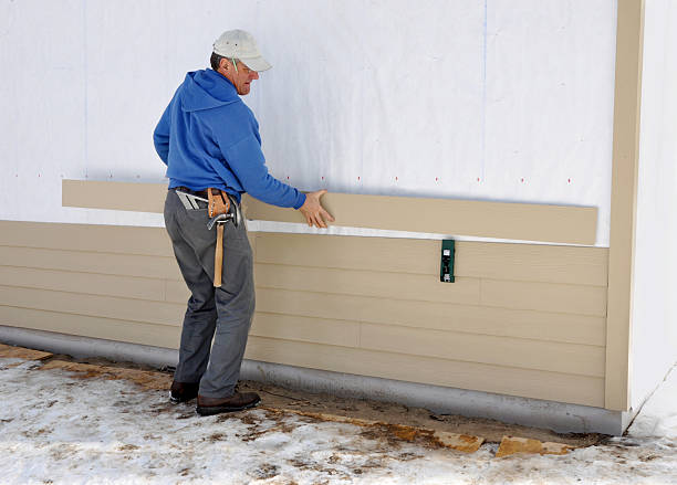 Best Historical Building Siding Restoration  in Rochester, IL